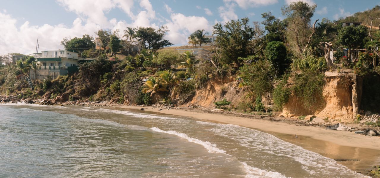 Sunny beach with waves lapping on the sand next to a cliff with palm trees and other greenery