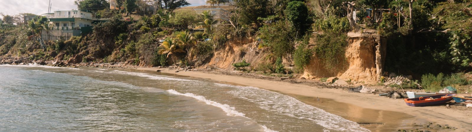 Sunny beach with waves lapping on the sand next to a cliff with palm trees and other greenery