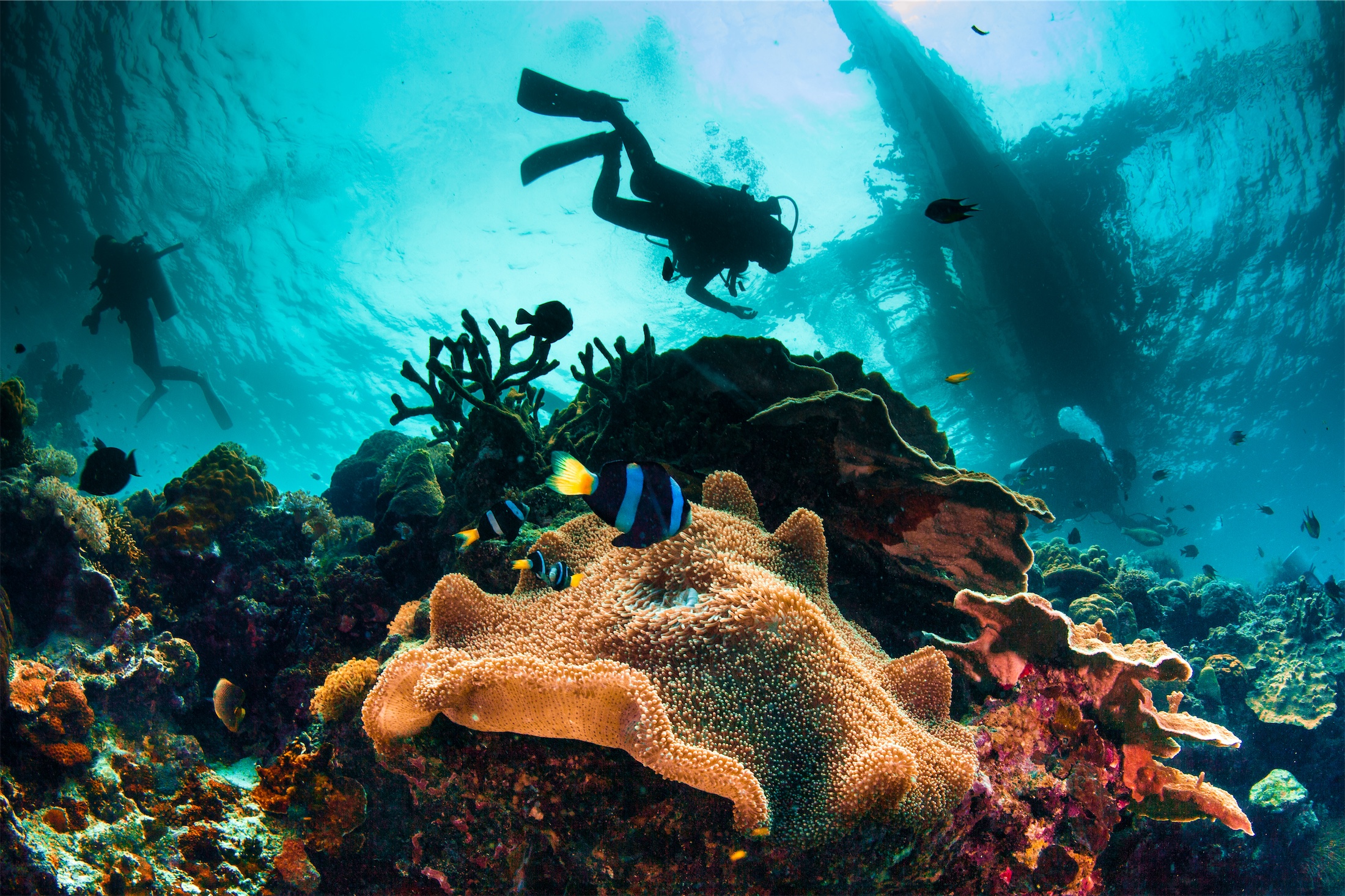 persona submarinismo