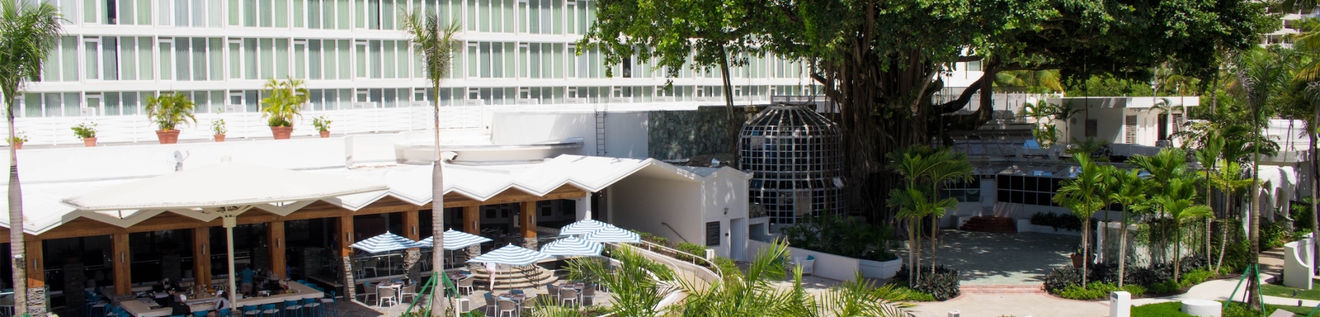 pool area and trees by the hotel