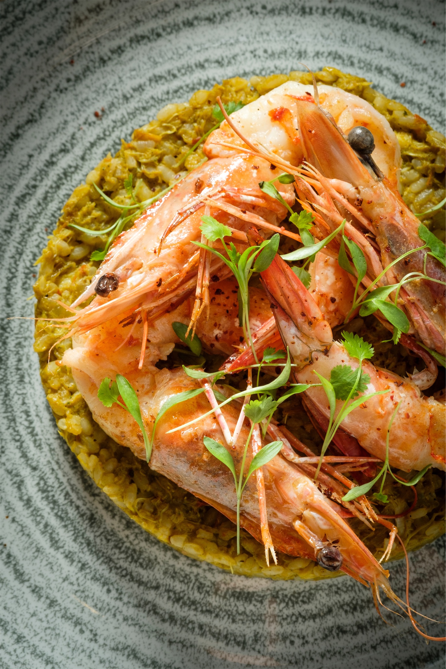 close up of cooked prawns