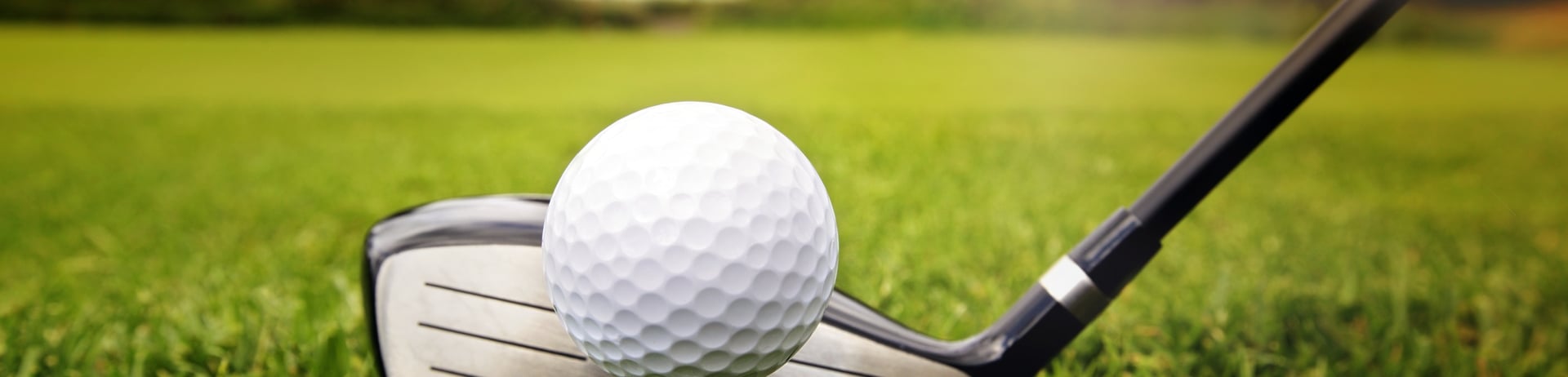 ¡Es tiempo de jugar golf!