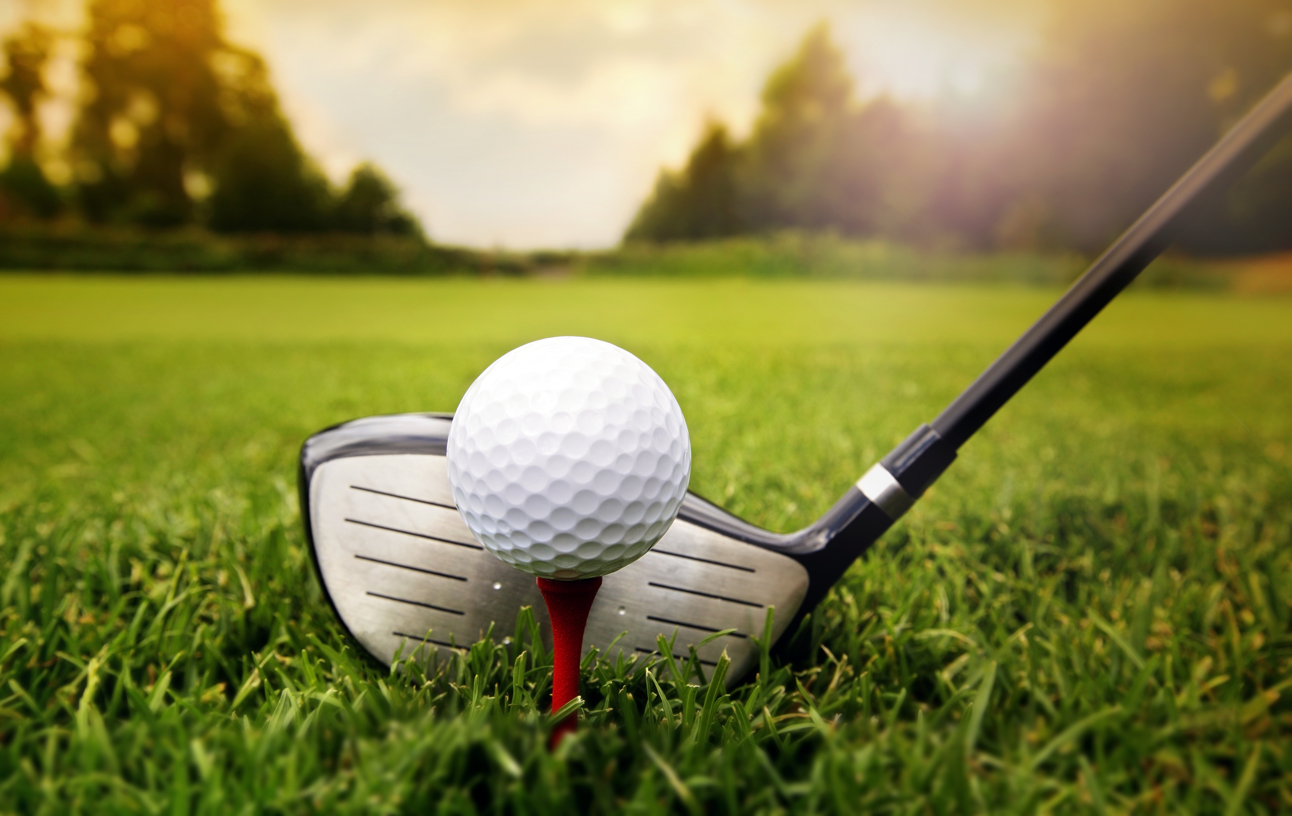 ¡Es tiempo de jugar golf!