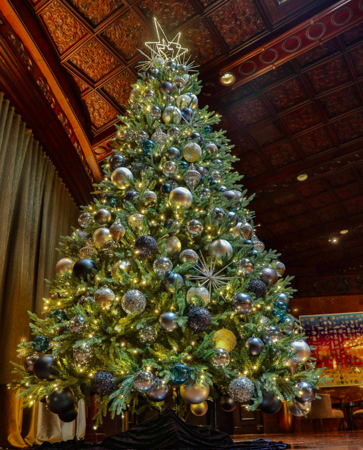 Christmas Lighting